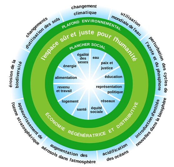 La théorie du Donut : un outil simple pour amorcer votre réflexion RSE