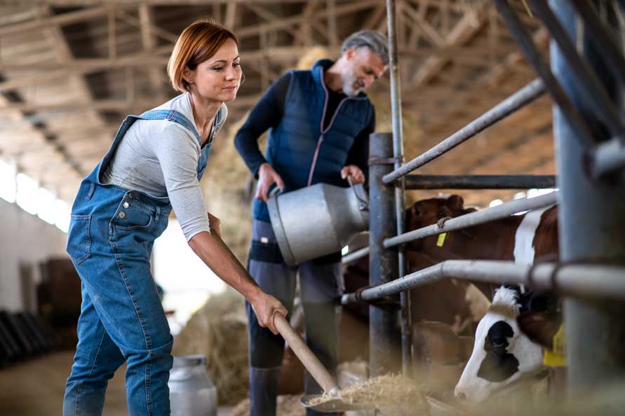 agriculture-homme-femme-travail