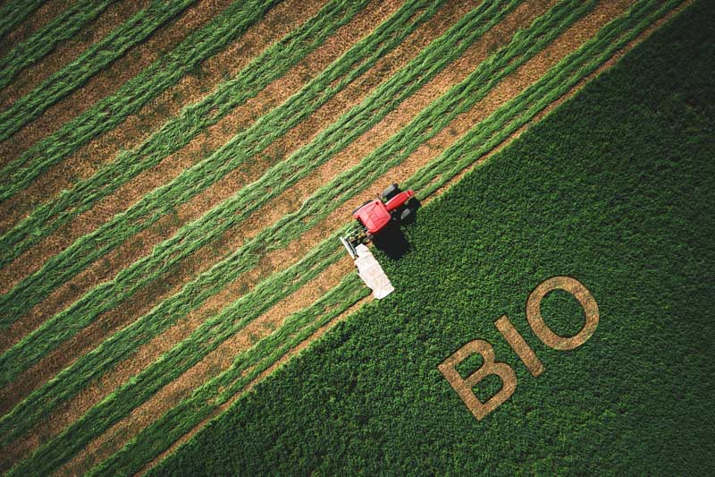 Agriculture : Des producteurs bio en quête de repères