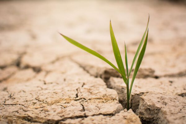Programme d’aide aux investissements pour la protection contre la sécheresse