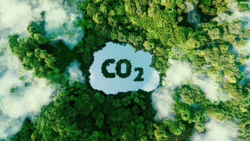 Trajectoire carbone : où en êtes-vous ?