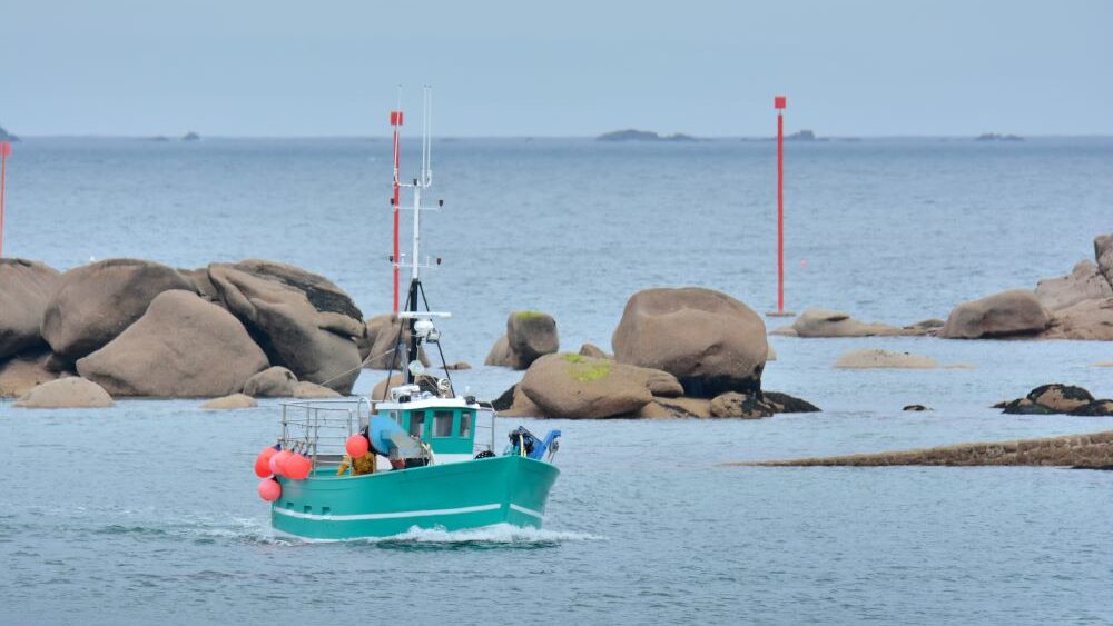 Loi de finances pour 2024 : Du nouveau pour la TVA acquittée par les pêcheurs