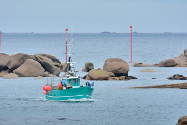 Loi de finances pour 2024 : du nouveau pour la TVA acquittée par les pêcheurs