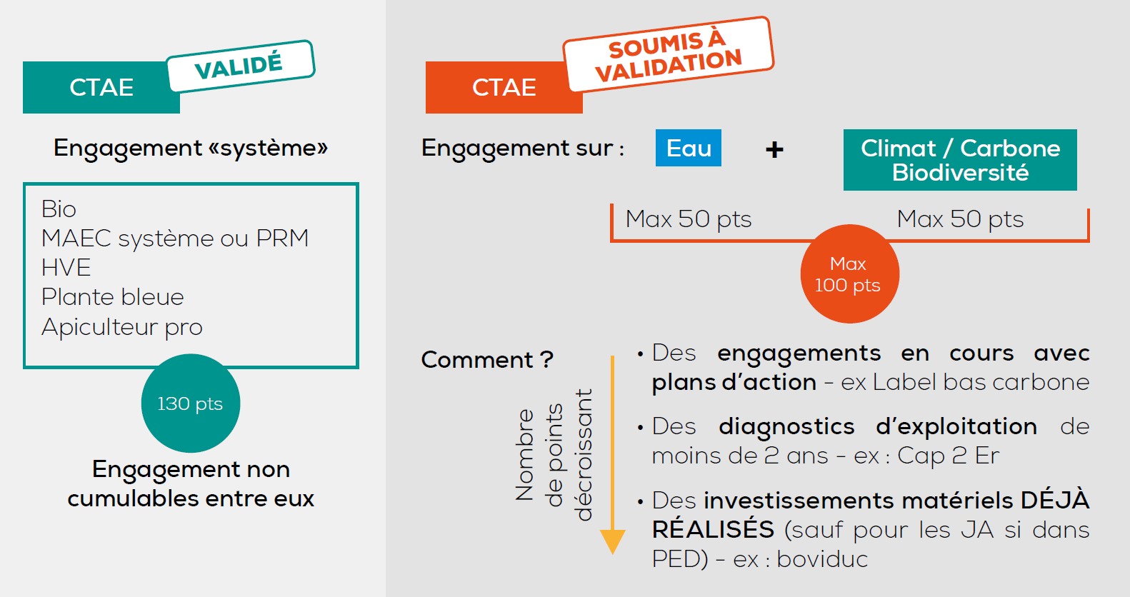 Le CTAE (contrat de transition Agroécologique) s’établit à l’échelle de l’exploitation selon 2 possibilités.