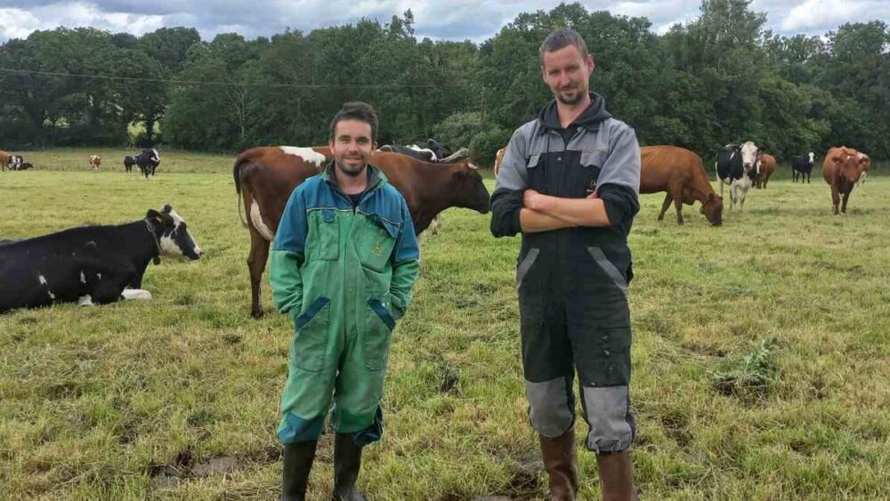 Témoignage d'agriculteurs : Thomas et Benjamin, éleveurs laitiers à Glomel