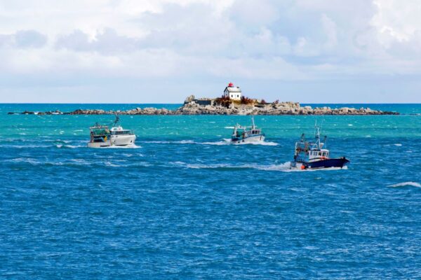 Réglementation maritime : quels sont les documents obligatoires à bord d’un navire de pêche ?