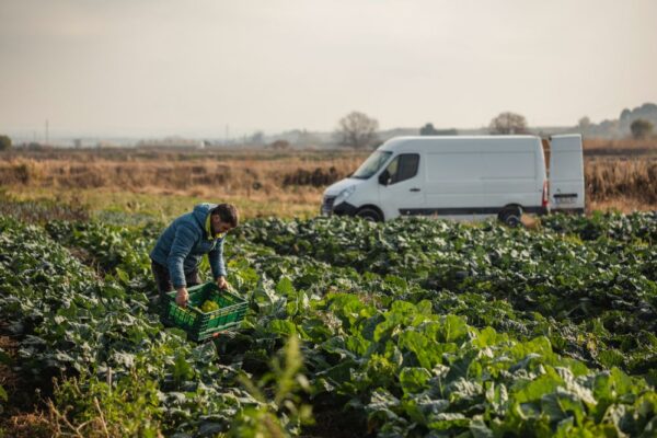 Véhicules de société : une nouvelle taxe en faveur de l’environnement