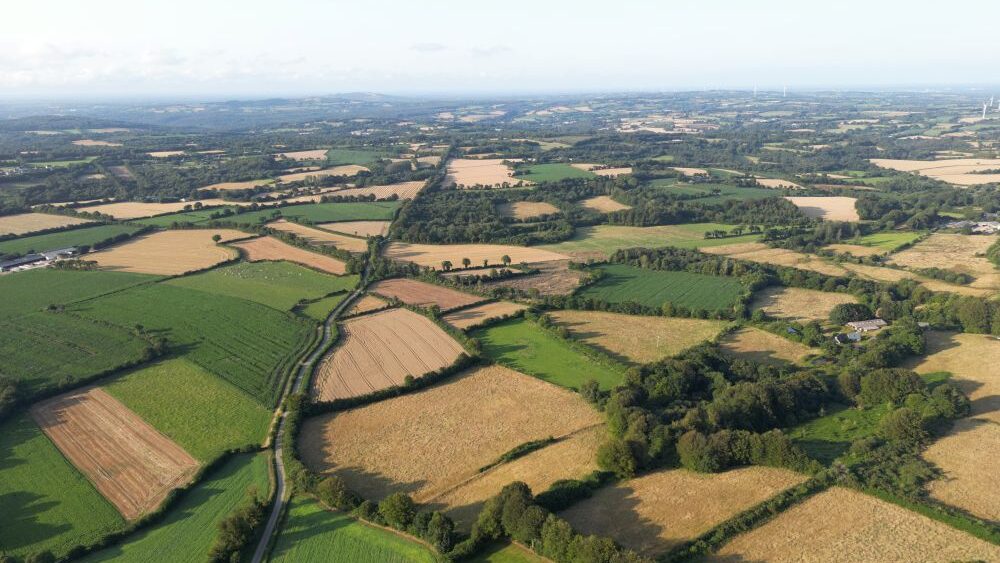 Depuis le 1er juillet 2024, le zonage France Ruralités Revitalisation (FRR) remplace les zones de revitalisation rurale (ZRR). Avec pour ambition de renforcer l’attractivité des territoires ruraux vulnérables. L’intérêt premier de ce nouveau zonage est d’encourager l’implantation d’entreprises, notamment par un renforcement des exonérations fiscales.