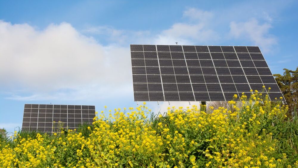Découvrez les nouvelles règles pour les installations photovoltaïques de 100 à 500 kWc : fin du tarif d’achat garanti, appel d’offres simplifié et complément de rémunération.