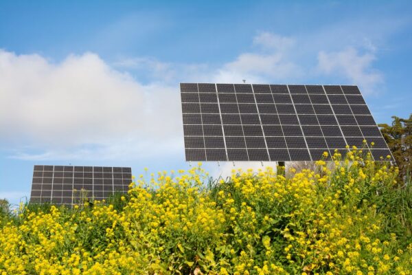 Agrivoltaïsme : Les enjeux de la contractualisation -Agriculteur, Propriétaire, Energéticien