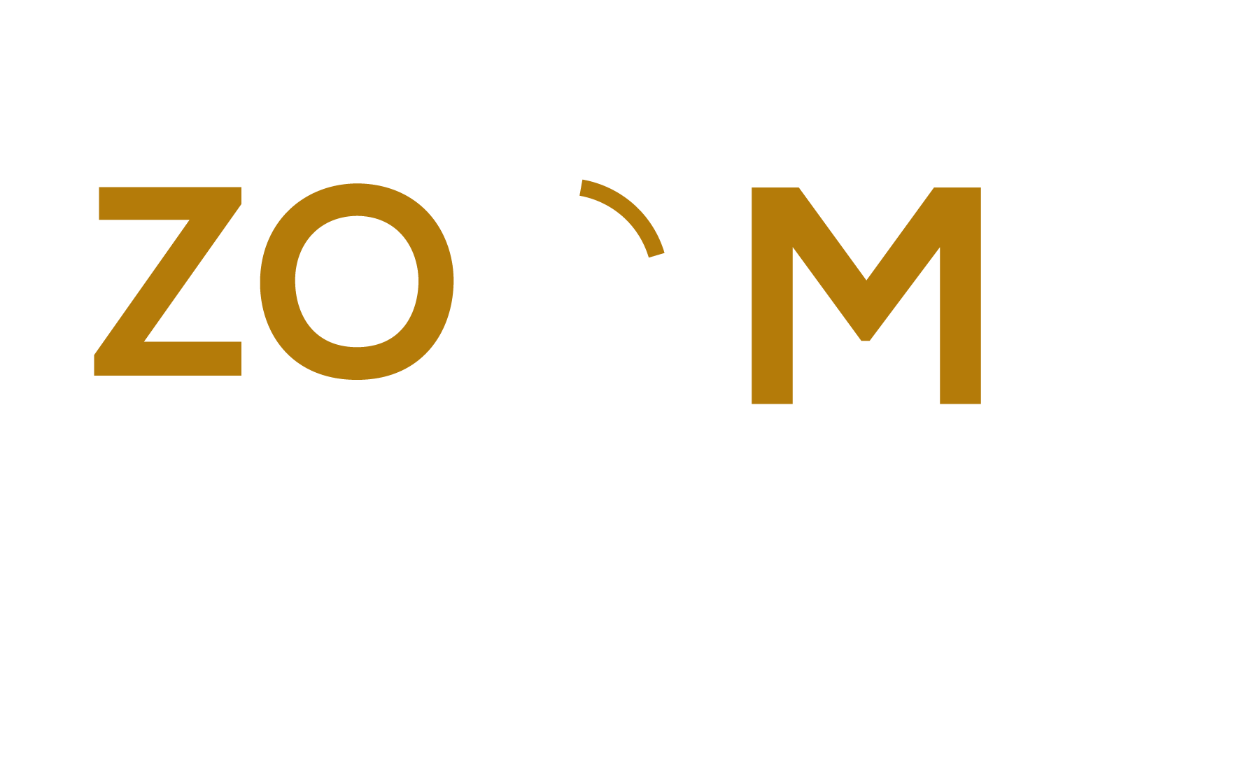 Zoom expert-01