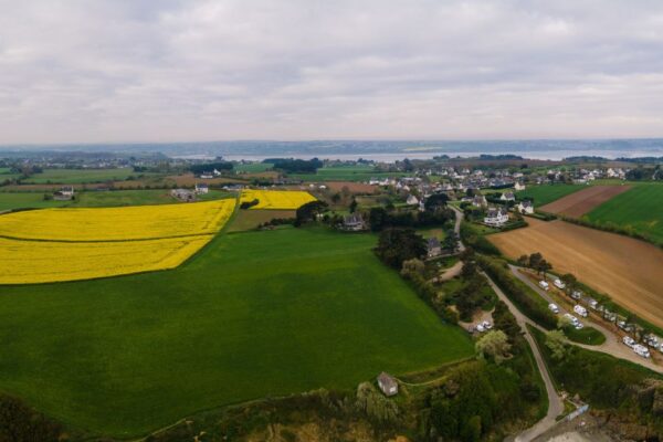 La théorie du Donut : un outil simple pour amorcer votre réflexion RSE