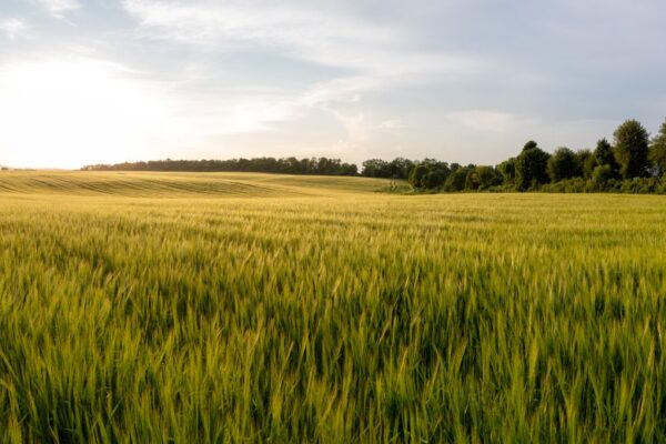 Renouvelez votre certiphyto DENSA : Inscrivez-vous à nos formations