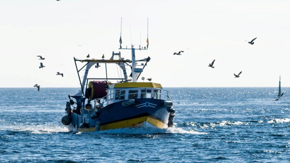 Employeurs du maritime : indemnités repas, paie des marins, visites médicales, DUERP… Découvrez les obligations clés pour sécuriser votre entreprise.