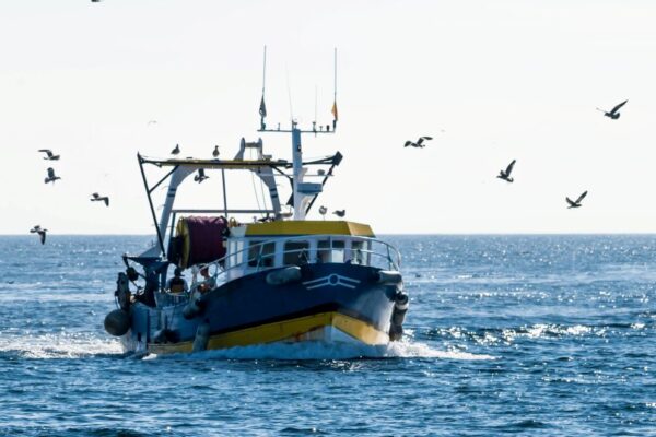 Pêche : les obligations clés à maîtriser en paie, santé au travail et sécurité