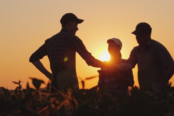 S’associer en agriculture : 5 conseils clés pour un NIMA avant d’intégrer une société