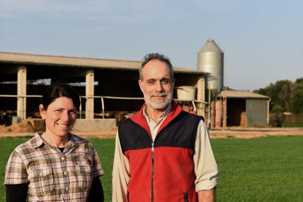 Transmettre son entreprise : Une étape clé à anticiper