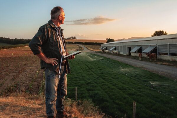 Aléas climatiques : comment renforcer la résilience de son exploitation agricole ?