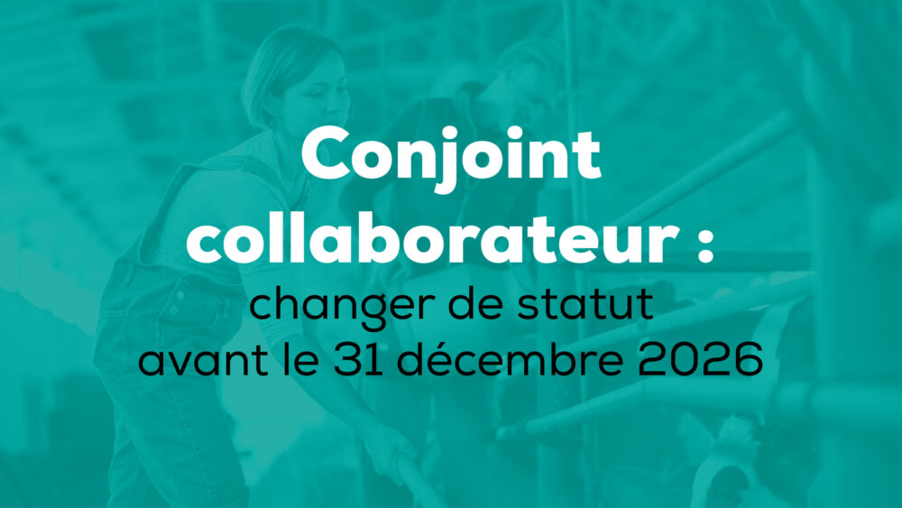 Conjoint collaborateur : changer de stratut avant le 31 décembre 2026