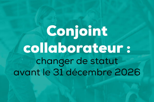 Conjoint collaborateur : changer de stratut avant le 31 décembre 2026
