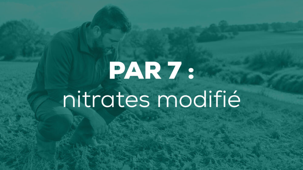 Agriculteur observant le sol d’une parcelle agricole bretonne, avec une bande enherbée et un cours d’eau en arrière-plan.